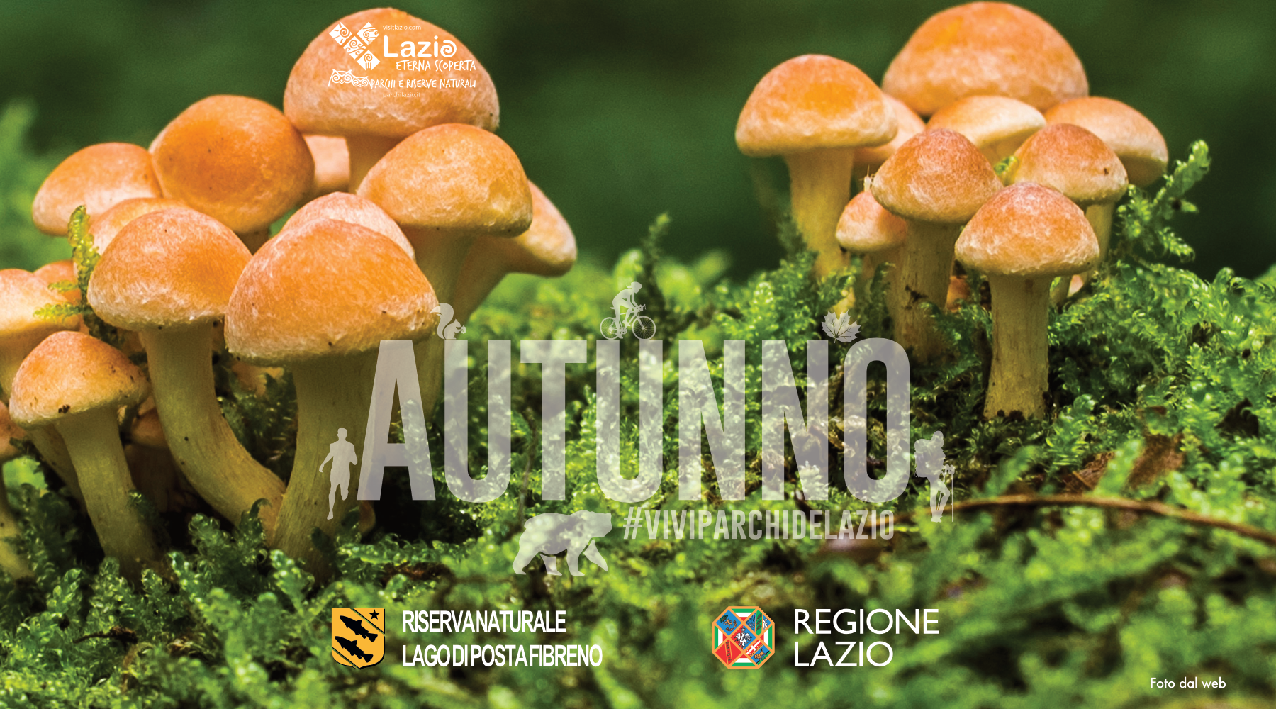 Corso di formazione micologica