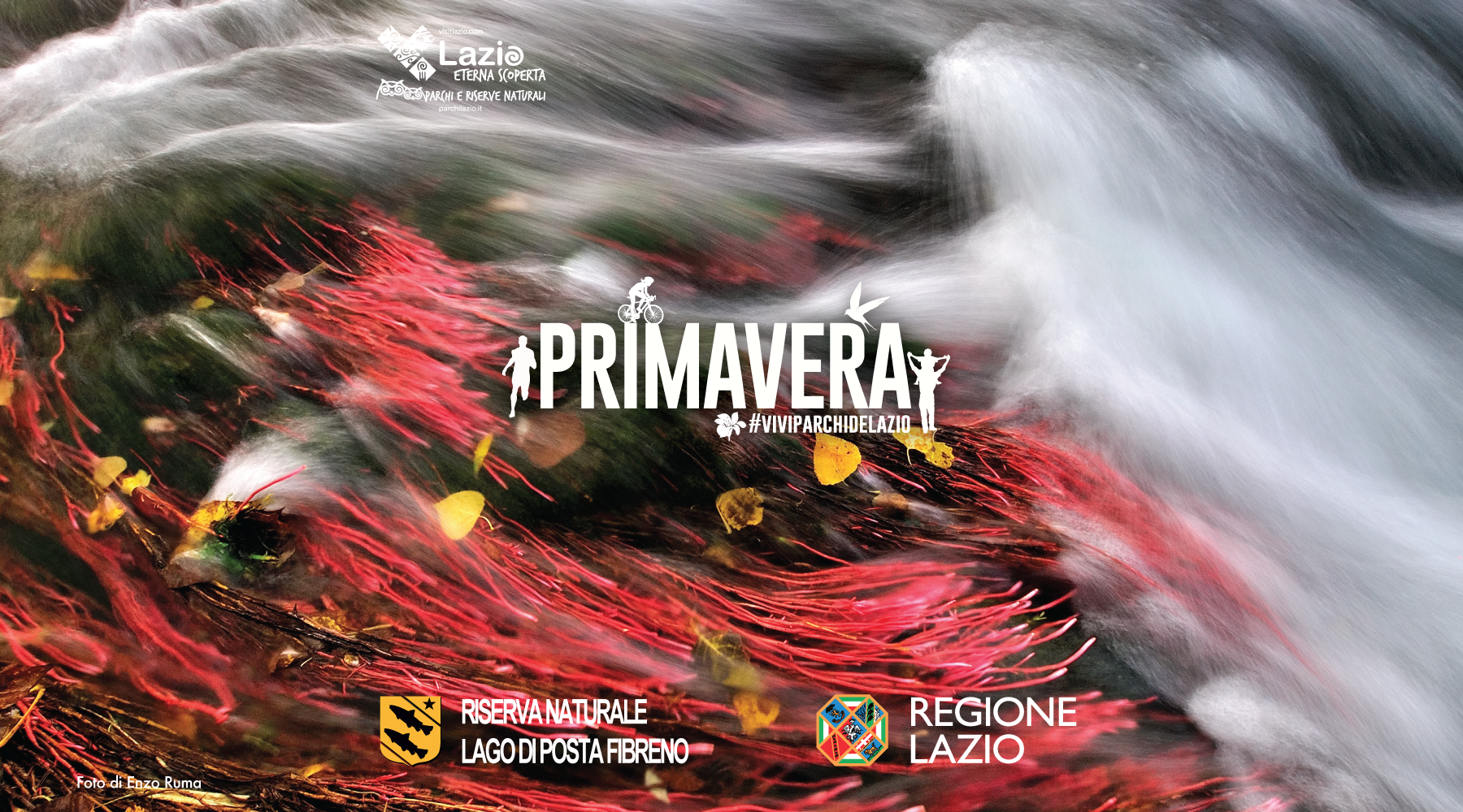 La Magia dell'Acqua e le Meraviglie della Biodiversità