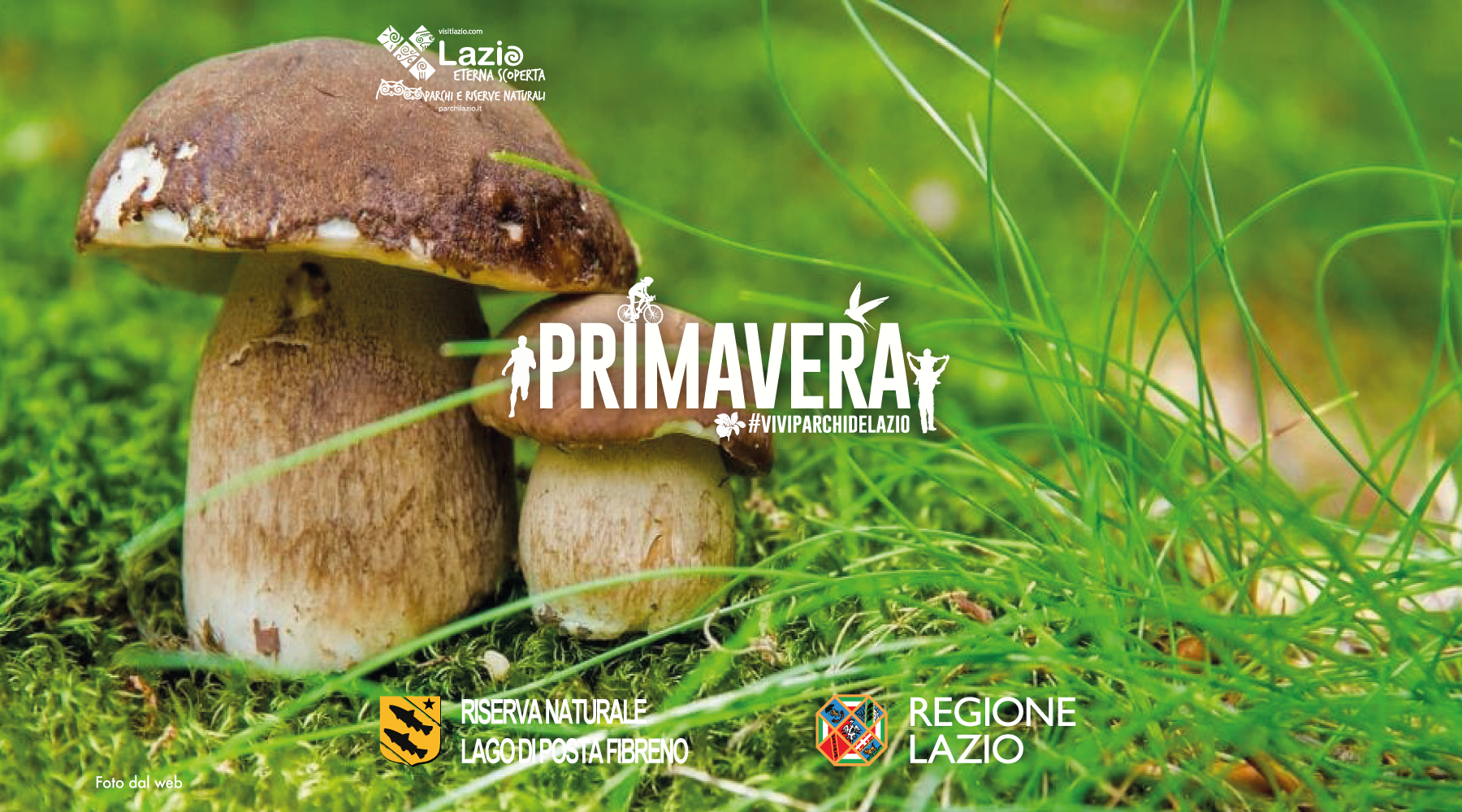 Corso di Formazione Micologica Aprile 2026