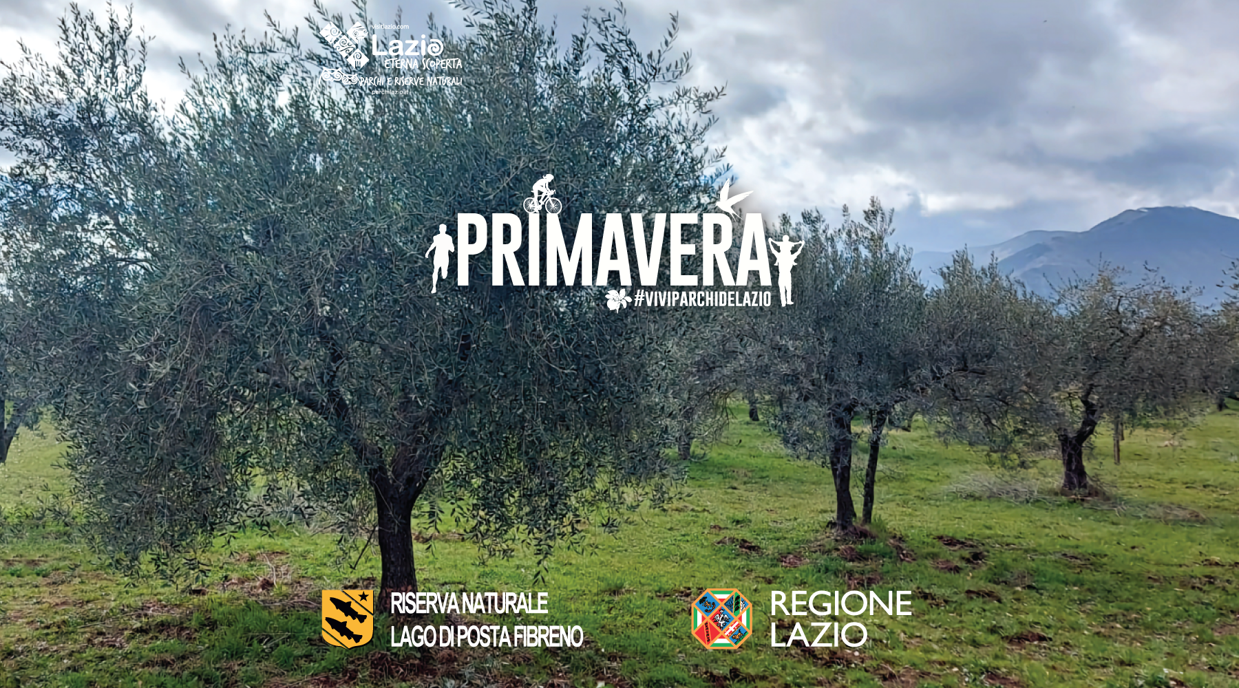 Giornata formativa dedicata all'avvicinamento alla potatura dell'olivo