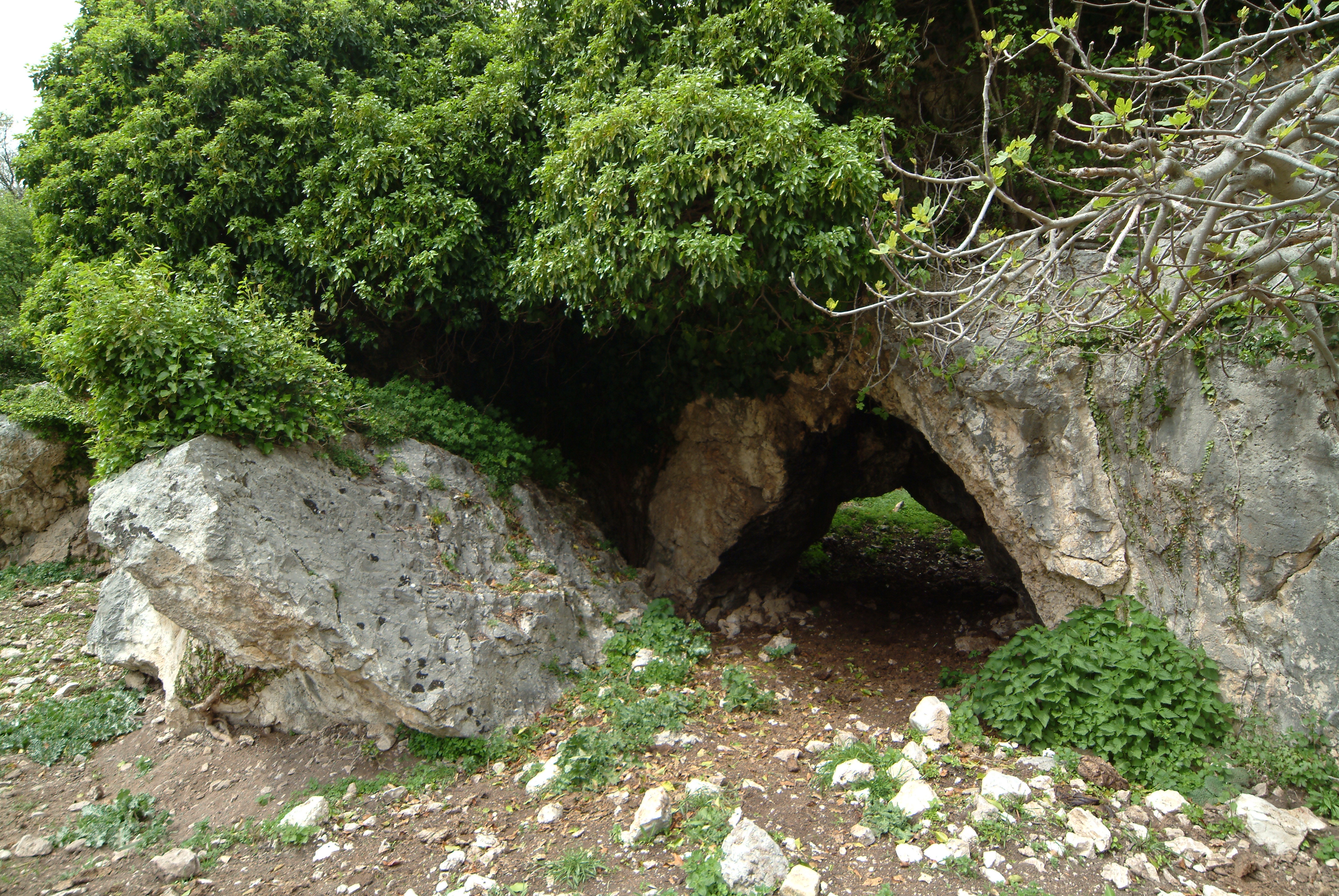 Formazione carsica "il Grottone"