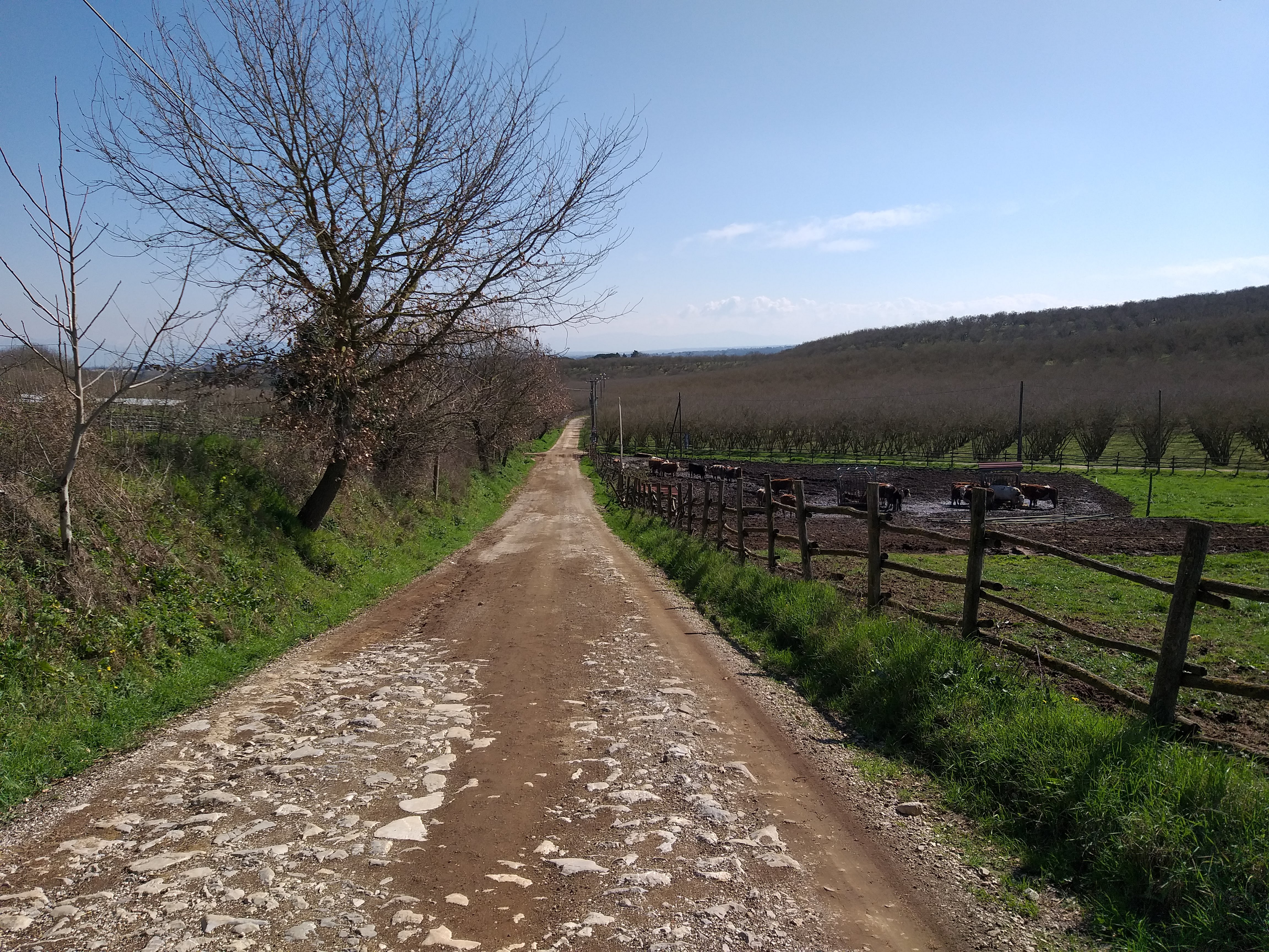 Sentiero CAI 176 C - VALLE PETRANA da Bassano Romano (Viterbo) all'innesto col sentiero CAI 132 per Sutri (Viterbo)