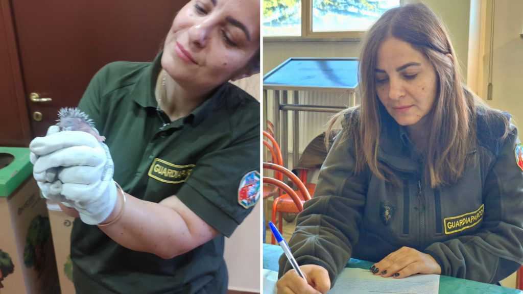 Il mio ufficio è grande 16mila ettari, a un passo dal lupo