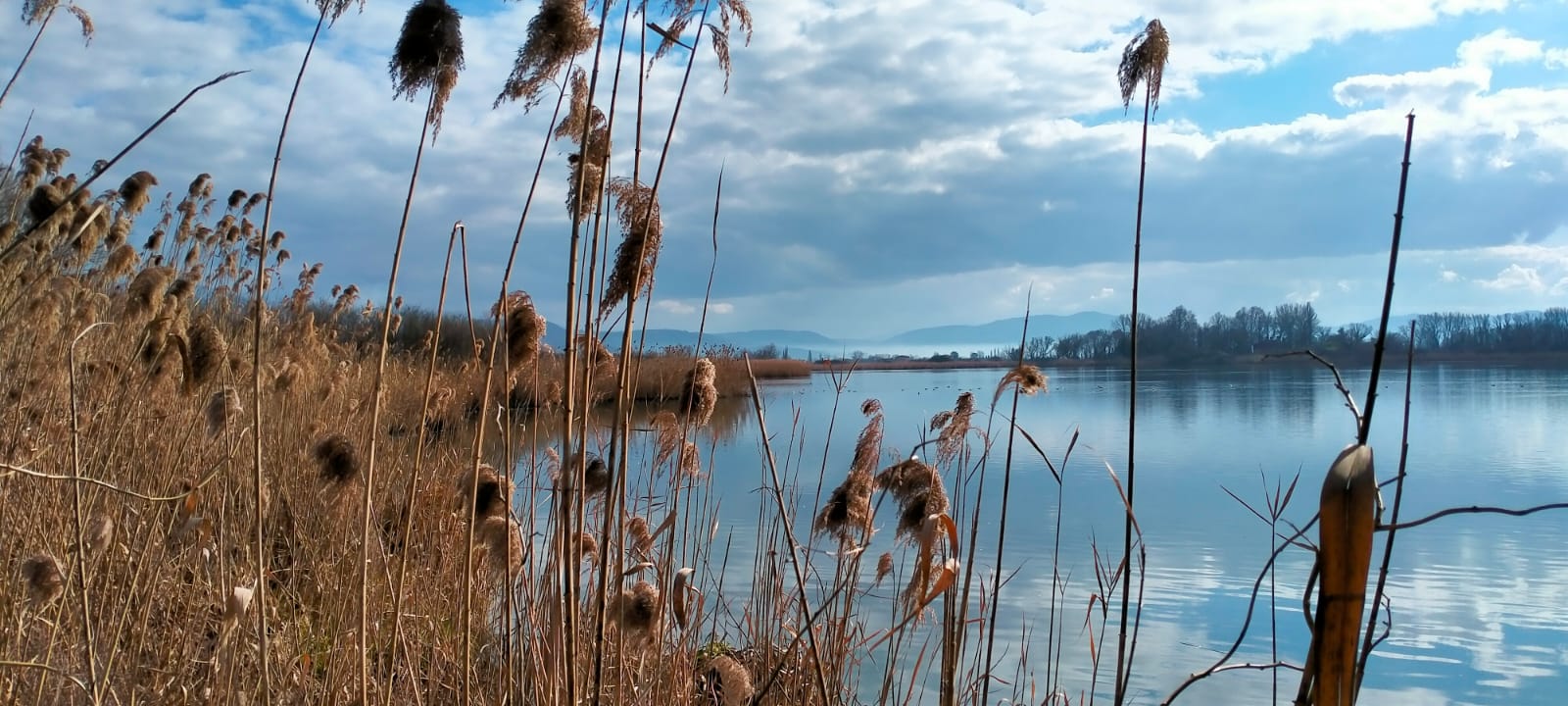 Foto di Roselli Rossella