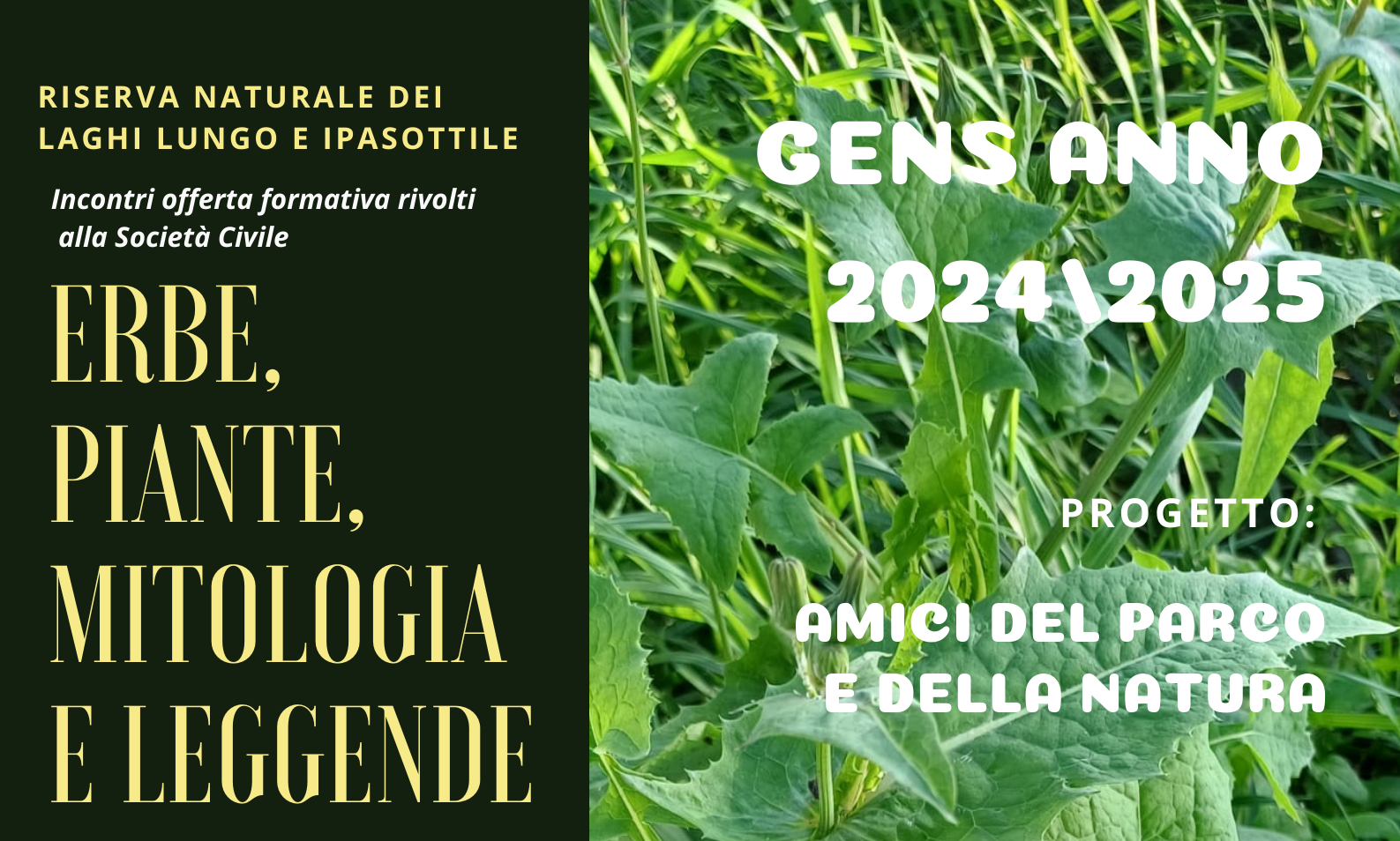 Erbe, piante, mitologia e leggende