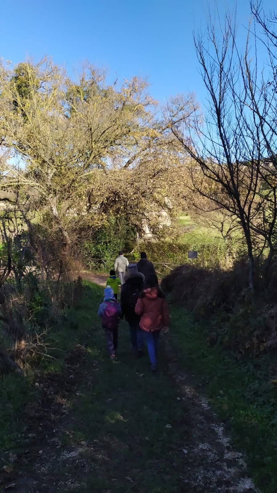 Foto Midas Art e Craft