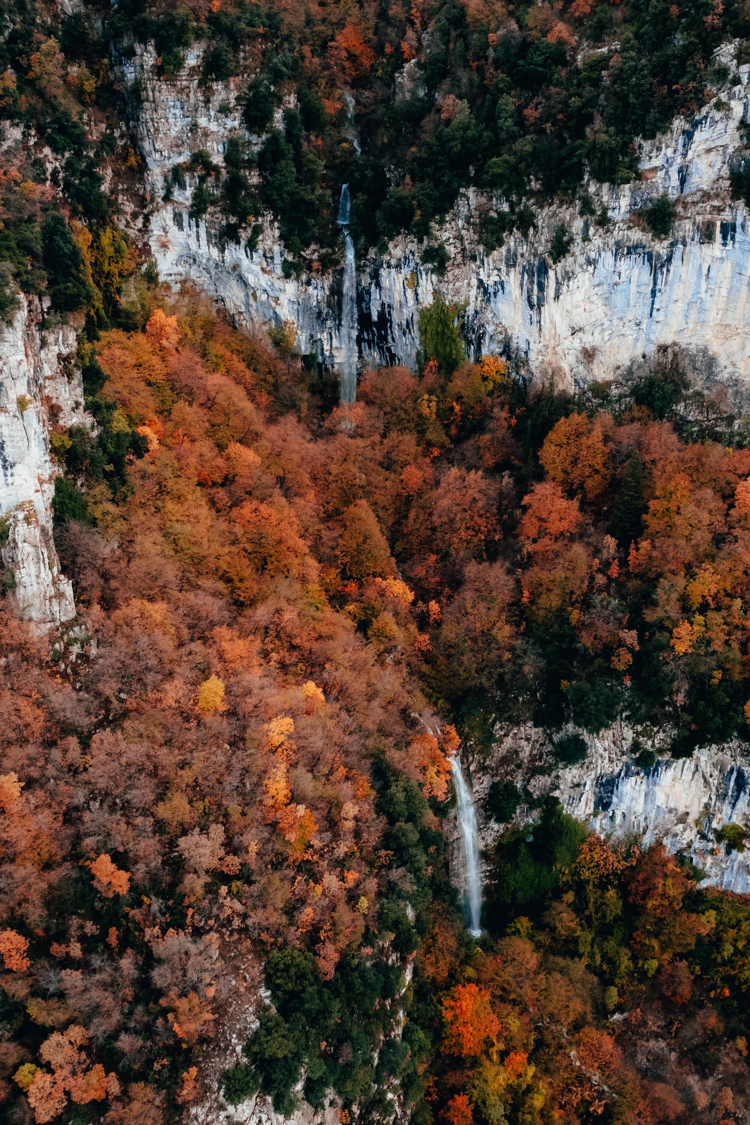 Convegno - Biodiversità del M.N. Valle Sant'Angelo