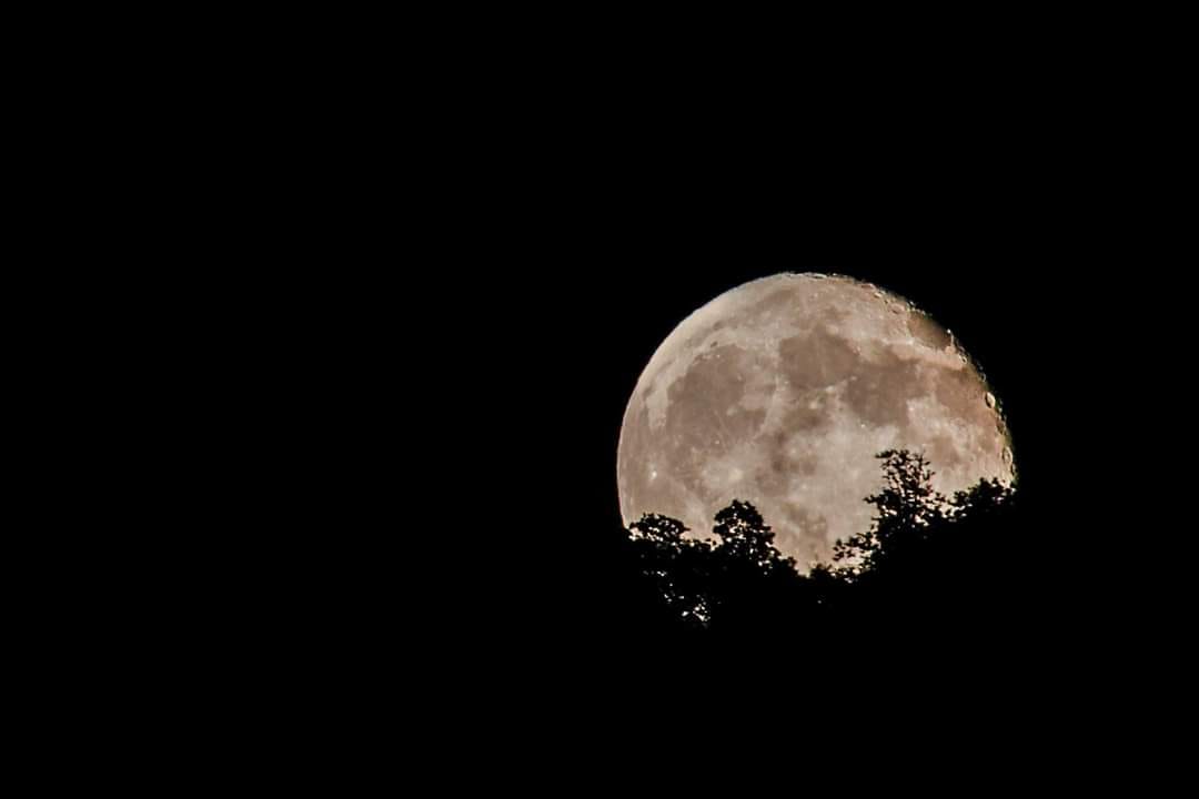 Fotografia di Flavio Felici