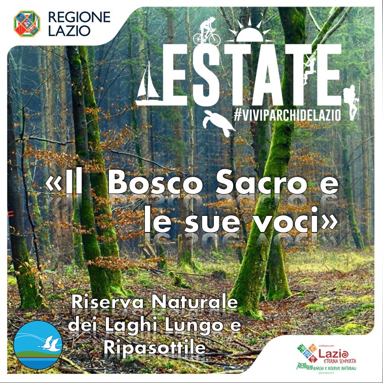 IL BOSCO SACRO E LE SUE VOCI