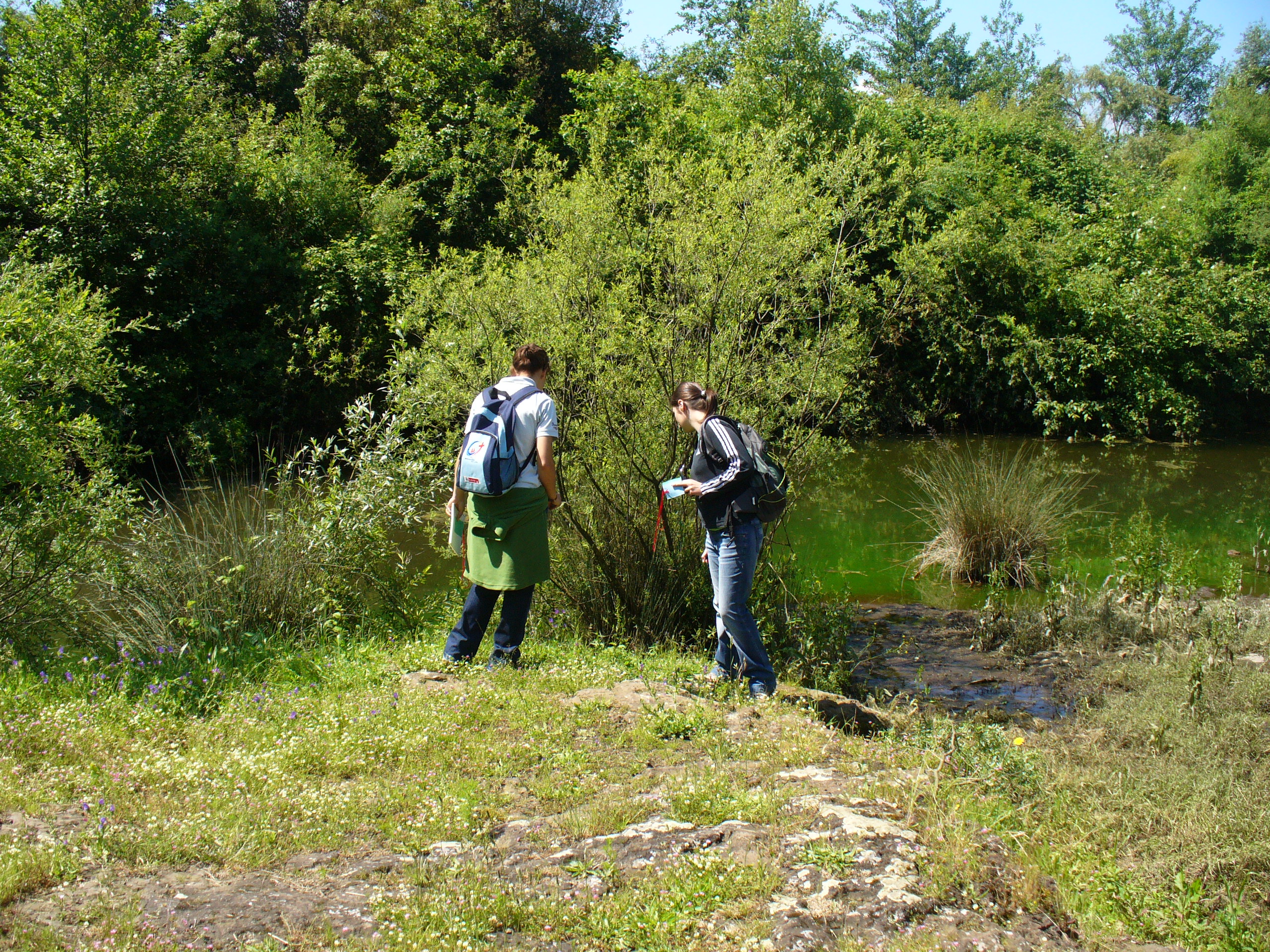 La prevenzione incendi boschivi e la tutela ambientale