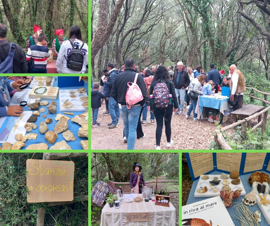 Il Museo del Bosco nella Riserva di Tor Caldara