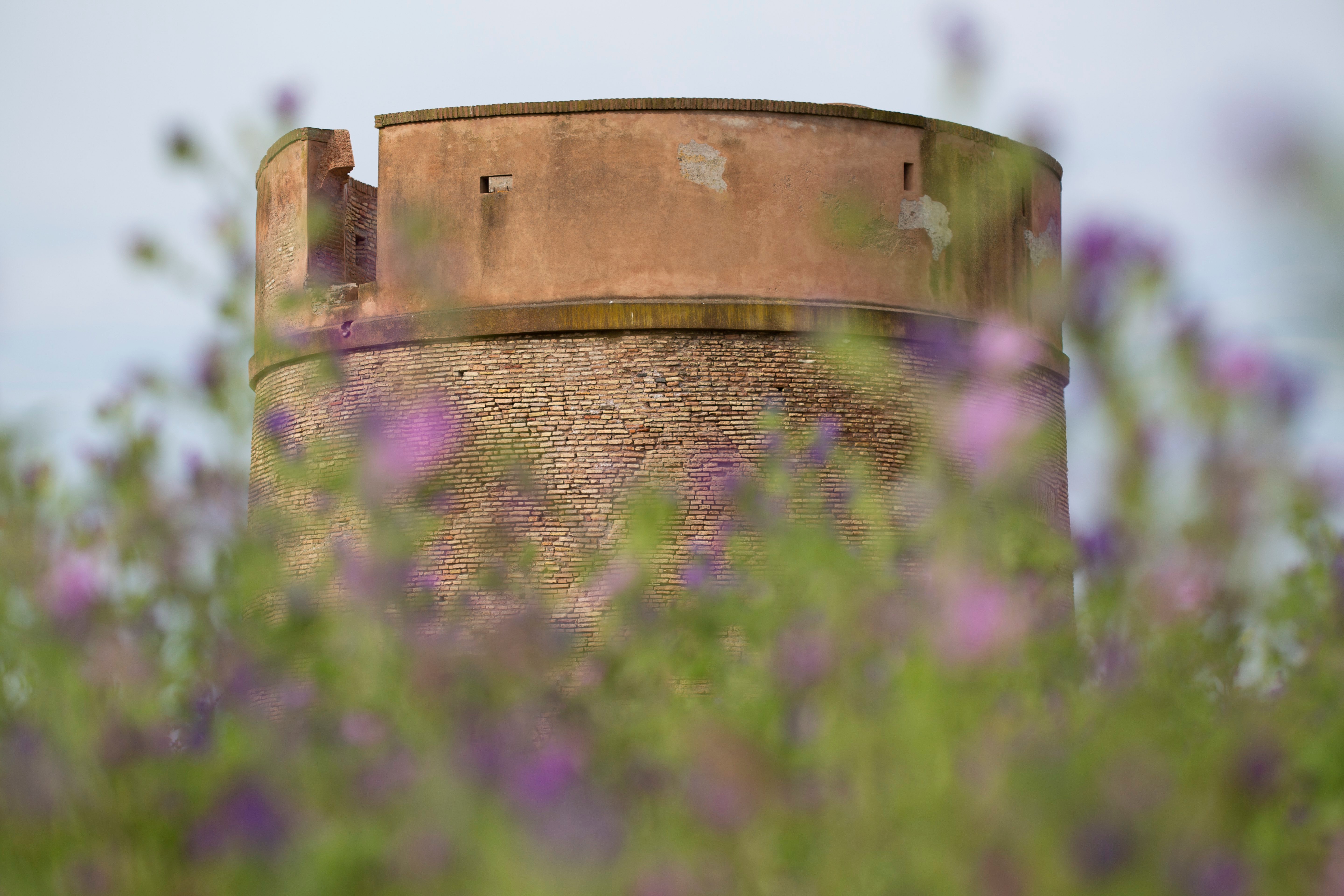 VIVI I PARCHI DEL LAZIO