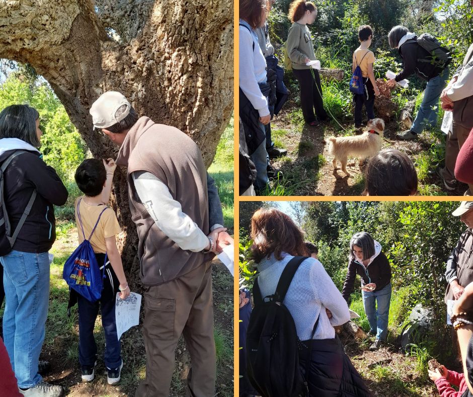 Alla scoperta della vita nel legno morto