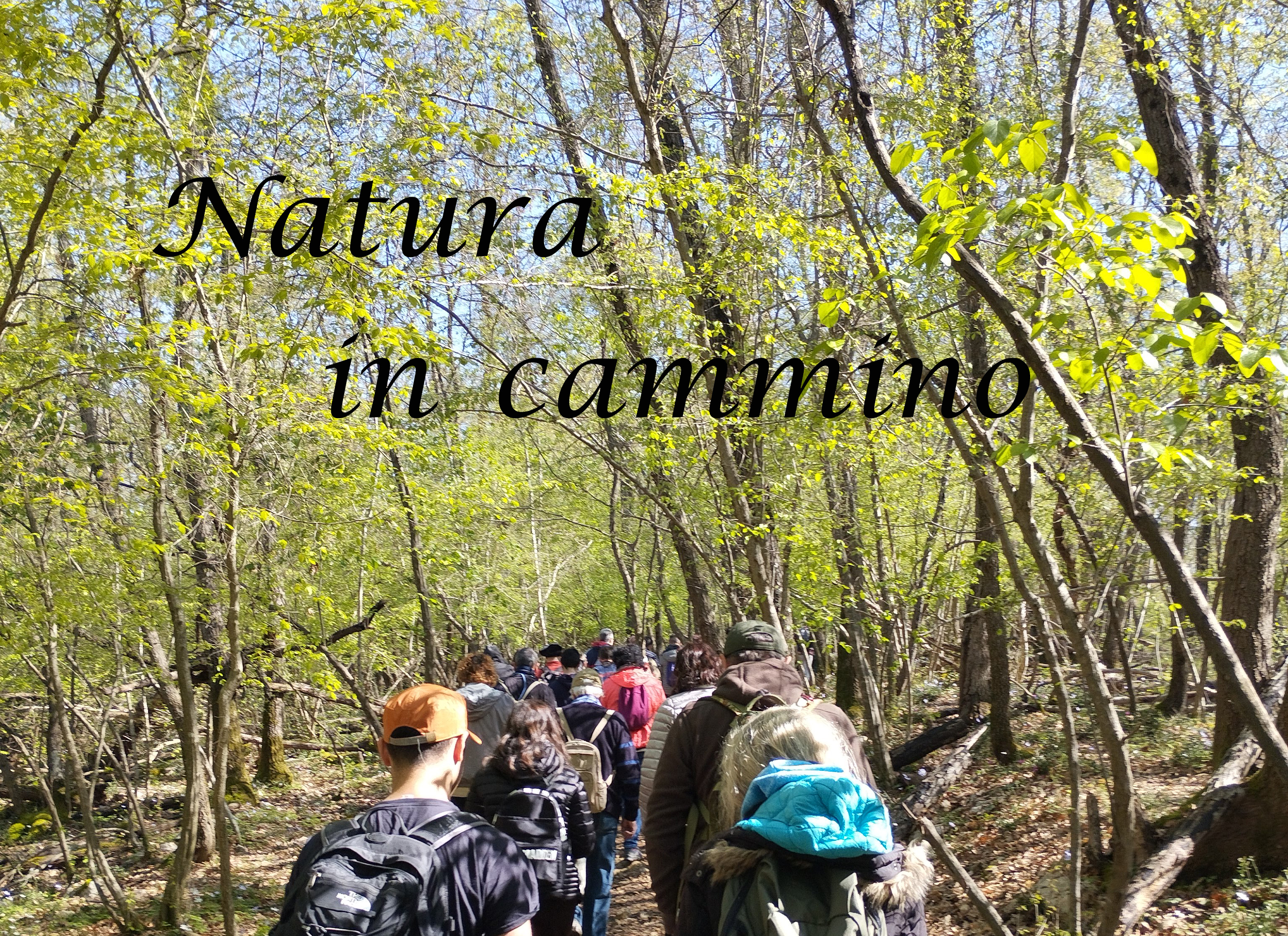 Foto Natura in cammino