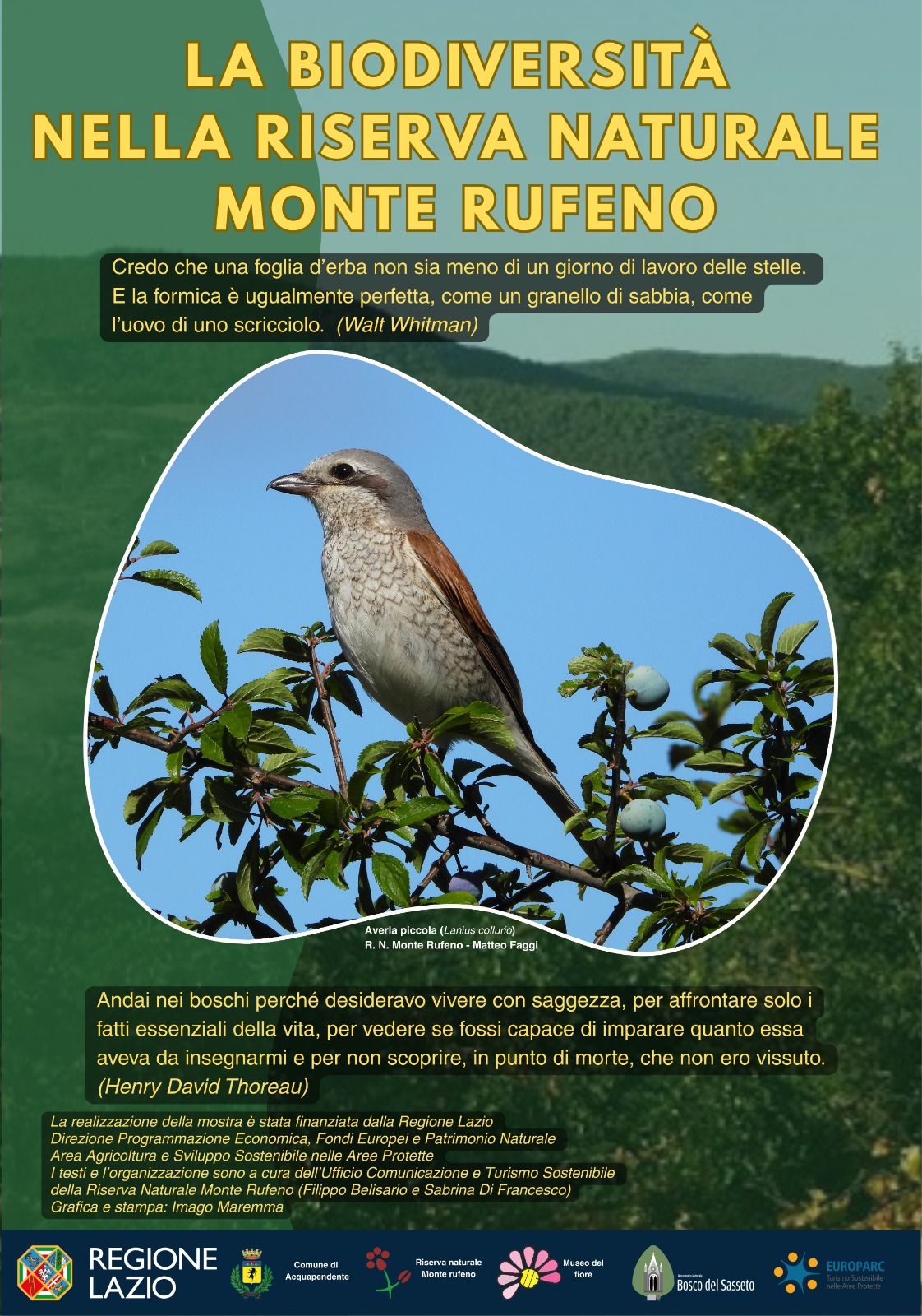 Specie elusive, micro mondi e paesaggi insoliti: lasciatevi conquistare!