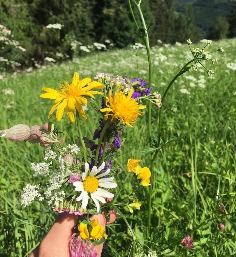 Foto Associazione Nereide