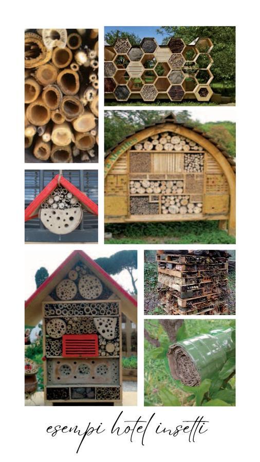 Laboratorio sulla biodiversità