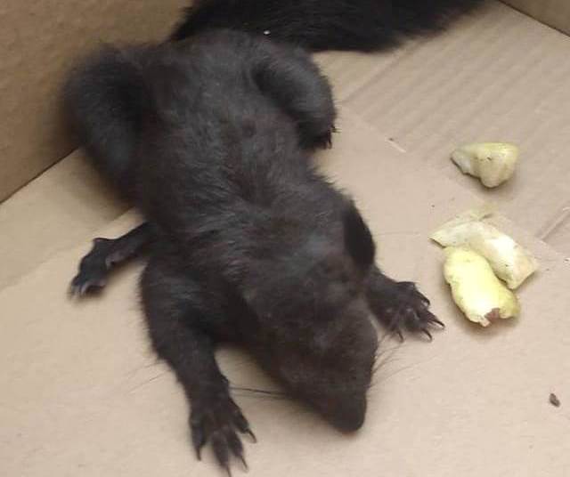 Fotografia di Maria Francesca Pinci