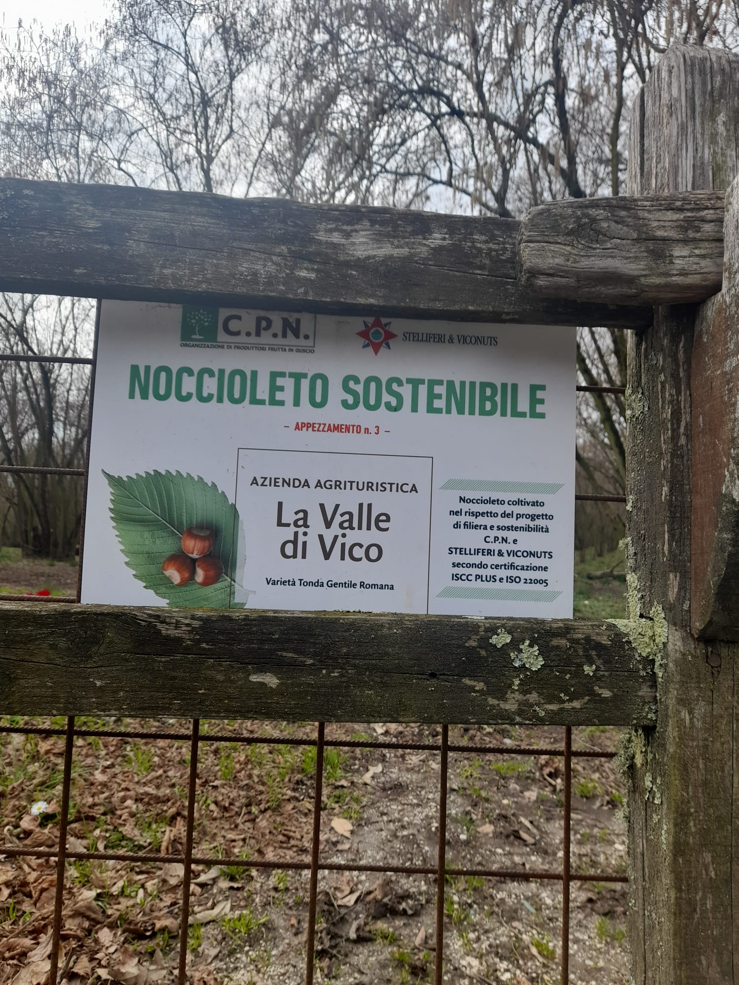 Tabella noccioleto sostenibile