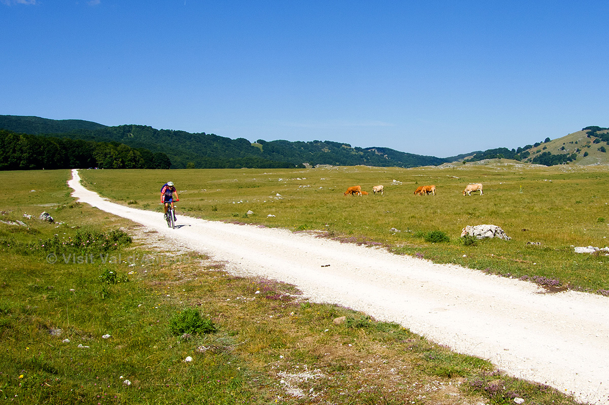 MTB 9. Monte Livata, Campo dell'Osso, Campo della Pietra, Rifugio Ceraso, Campo Staffi