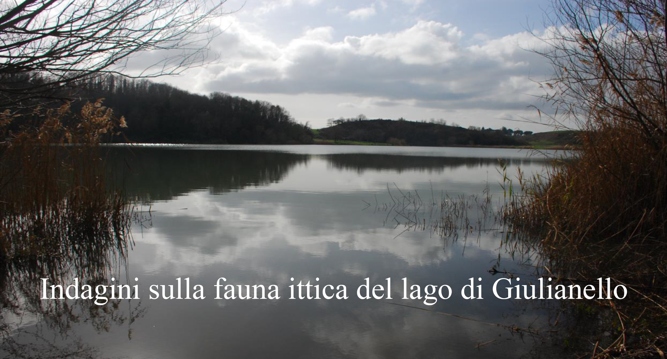 Il Monumento Naturale Lago di Giulianello presenta la relazione dell' indagine sulla fauna ittica del lago di Giulianello realizzata, su commissione del Comune di Artena, dal Dott. Amilcare D'Orsi.