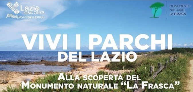 Il mondo delle conchiglie