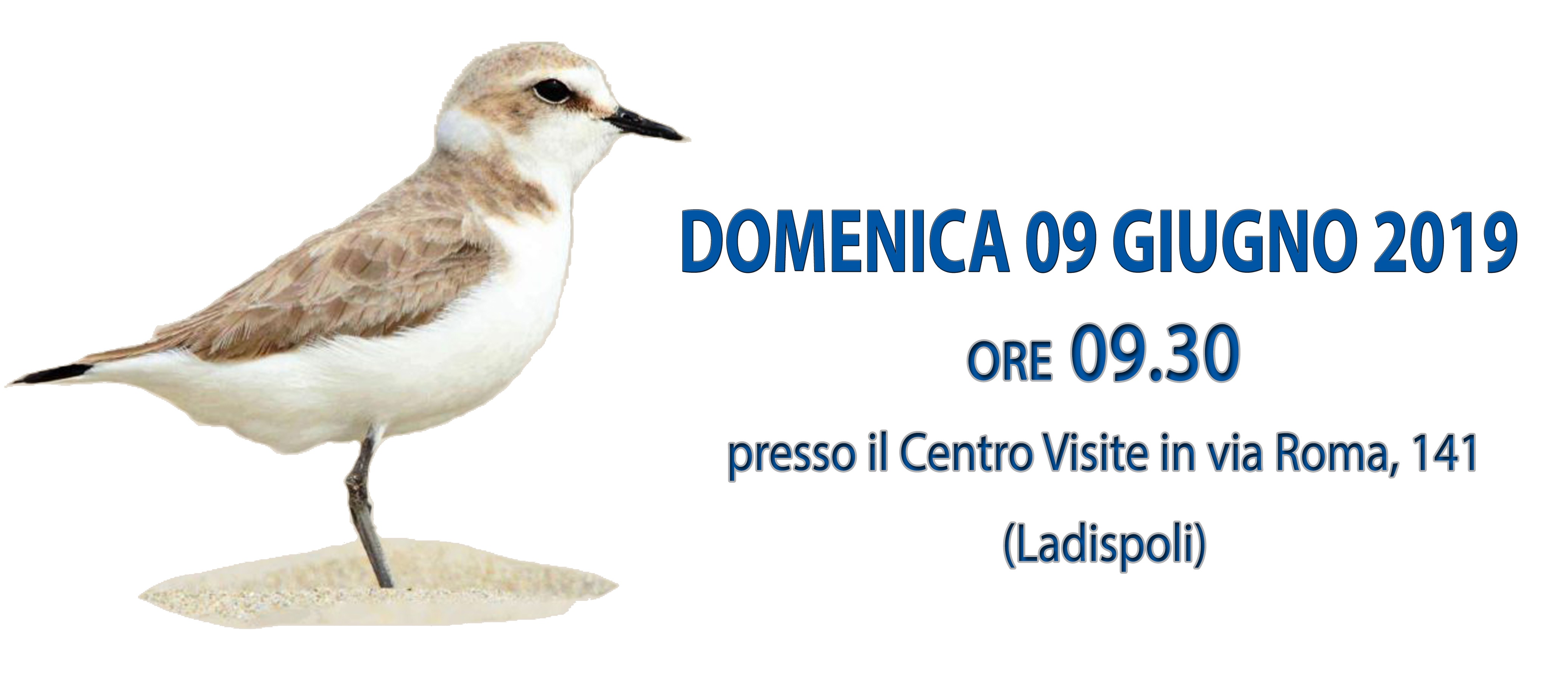 Domenica 9 giugno 2019: Monumento naturale Palude di Torre Flavia. Giornata delle dune sabbiose e della biodiversità