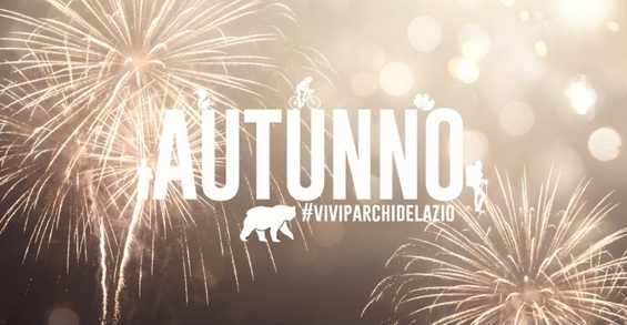 Fuochi d'artificio silenziosi