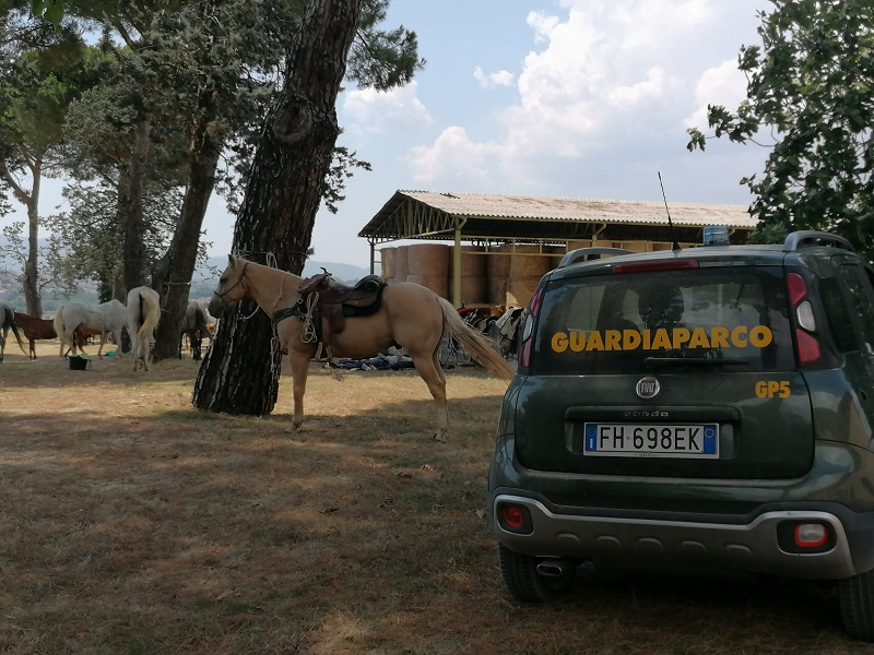 Fotografie di Giusi Bollati e Sandra Nardi