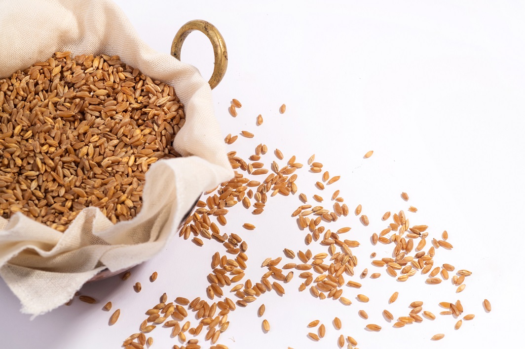 Farro perlato biologico