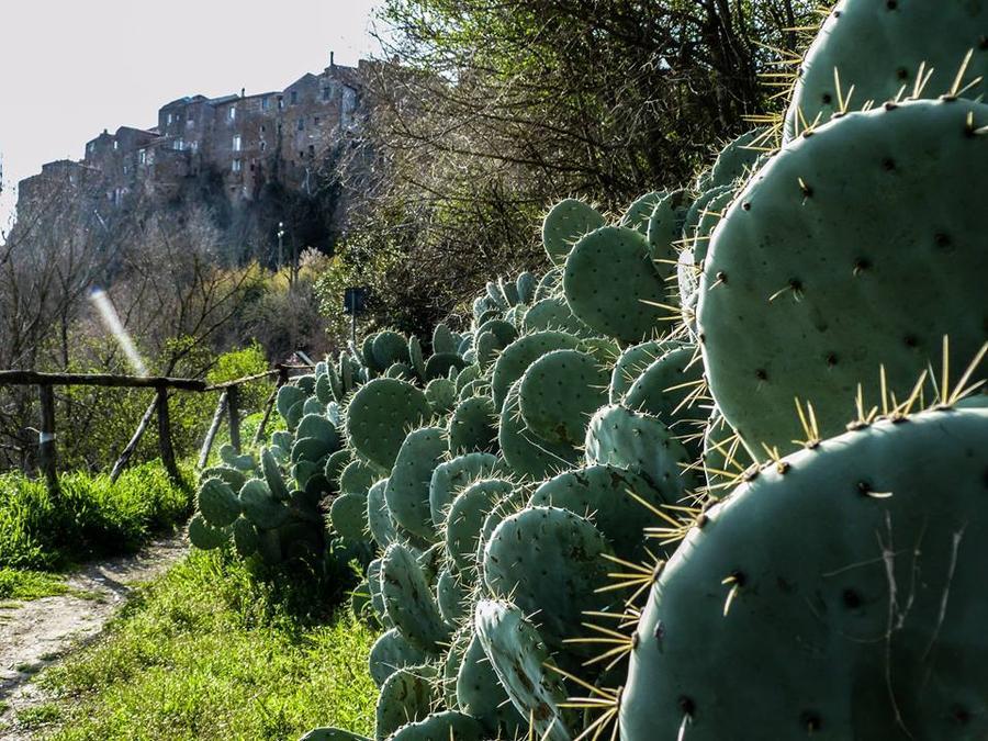 Foto Teresa Di Cosimo