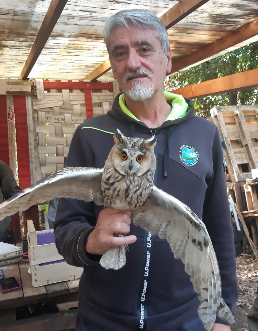 Inanellati un Gufo Comune e un Falco Pellegrino: Un Successo per la Ricerca Ornitologica