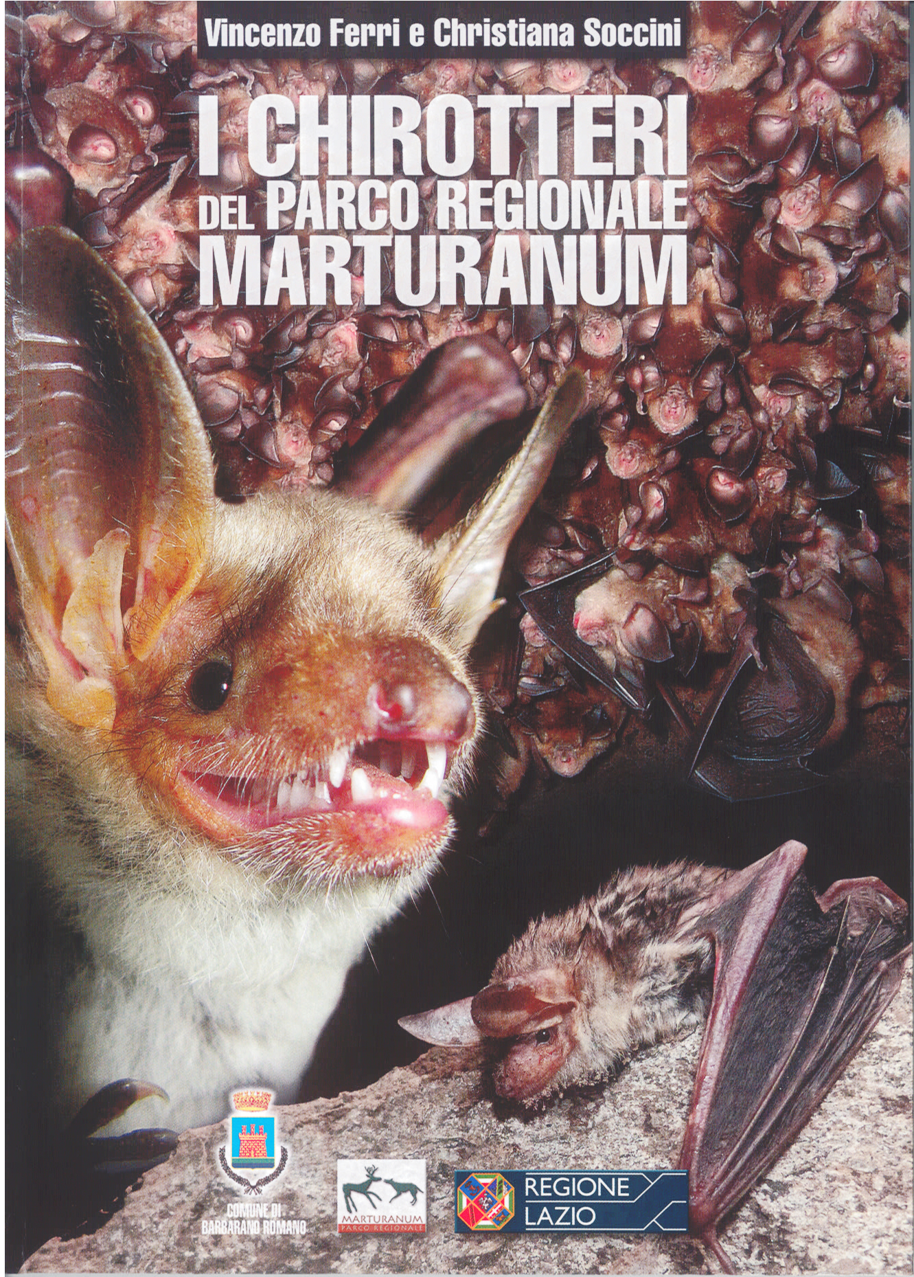 I Chirotteri del Parco Regionale Marturanum