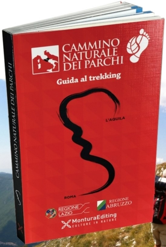 Acquista on-line la guida del CNP!