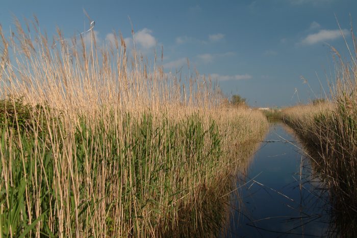 "GIORNATA MONDIALE DELLE ZONE UMIDE"<br /> 2 FEBBRAIO 2022