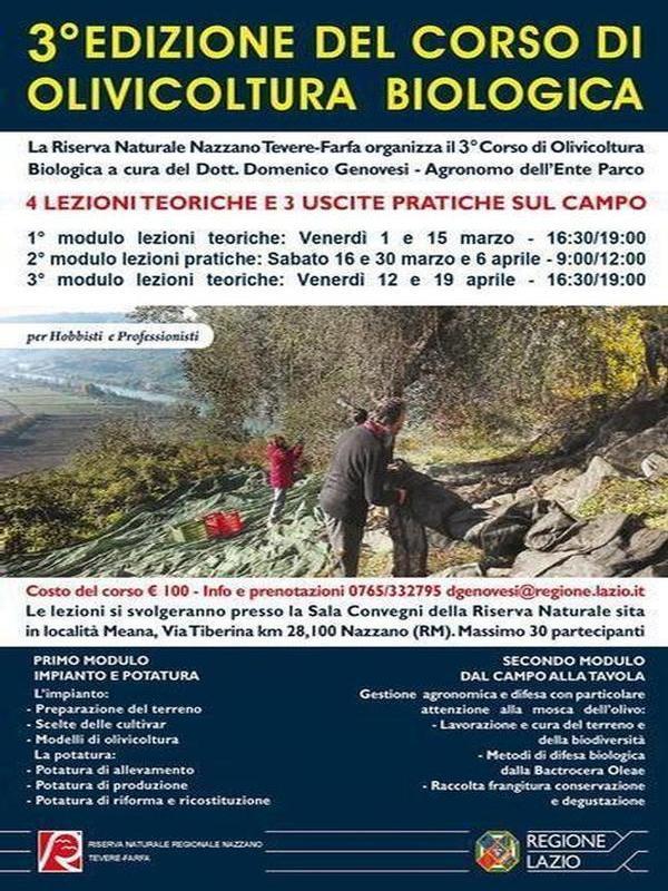 3a Edizione corso di olivicoltura biologica