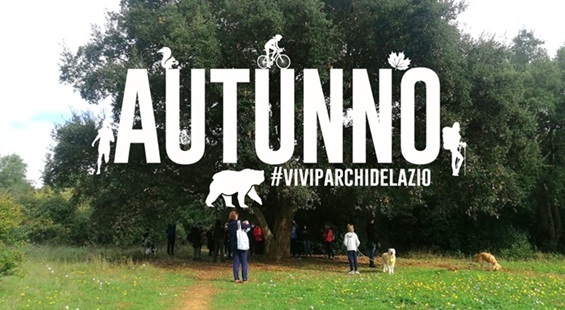 Il Canto degli Alberi