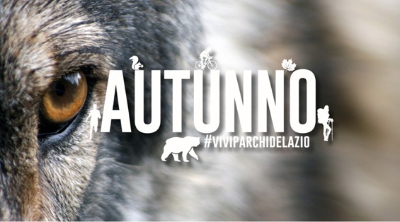 Il Lupo ai Castelli Romani