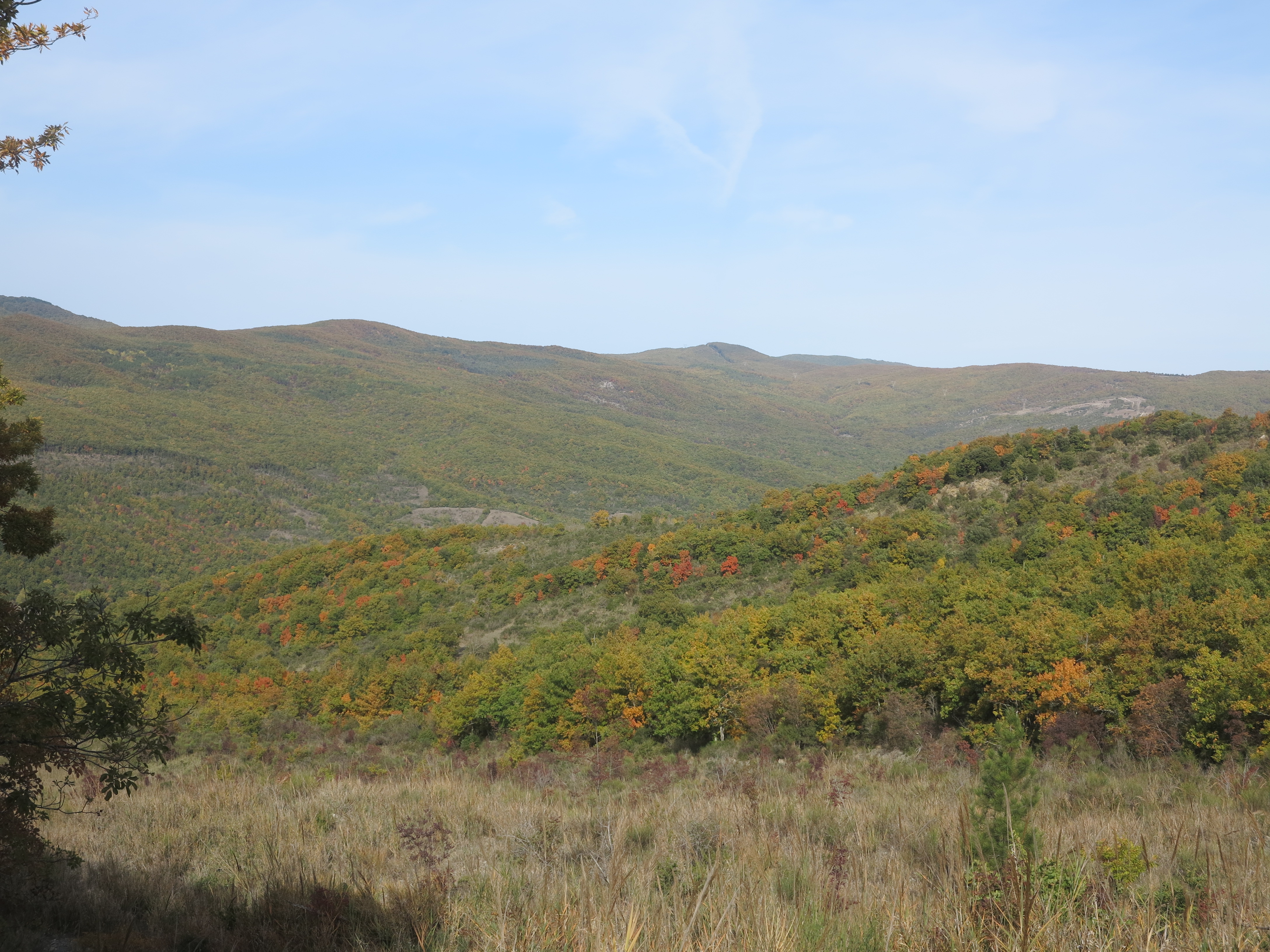 Sentiero Scialimata anello lungo