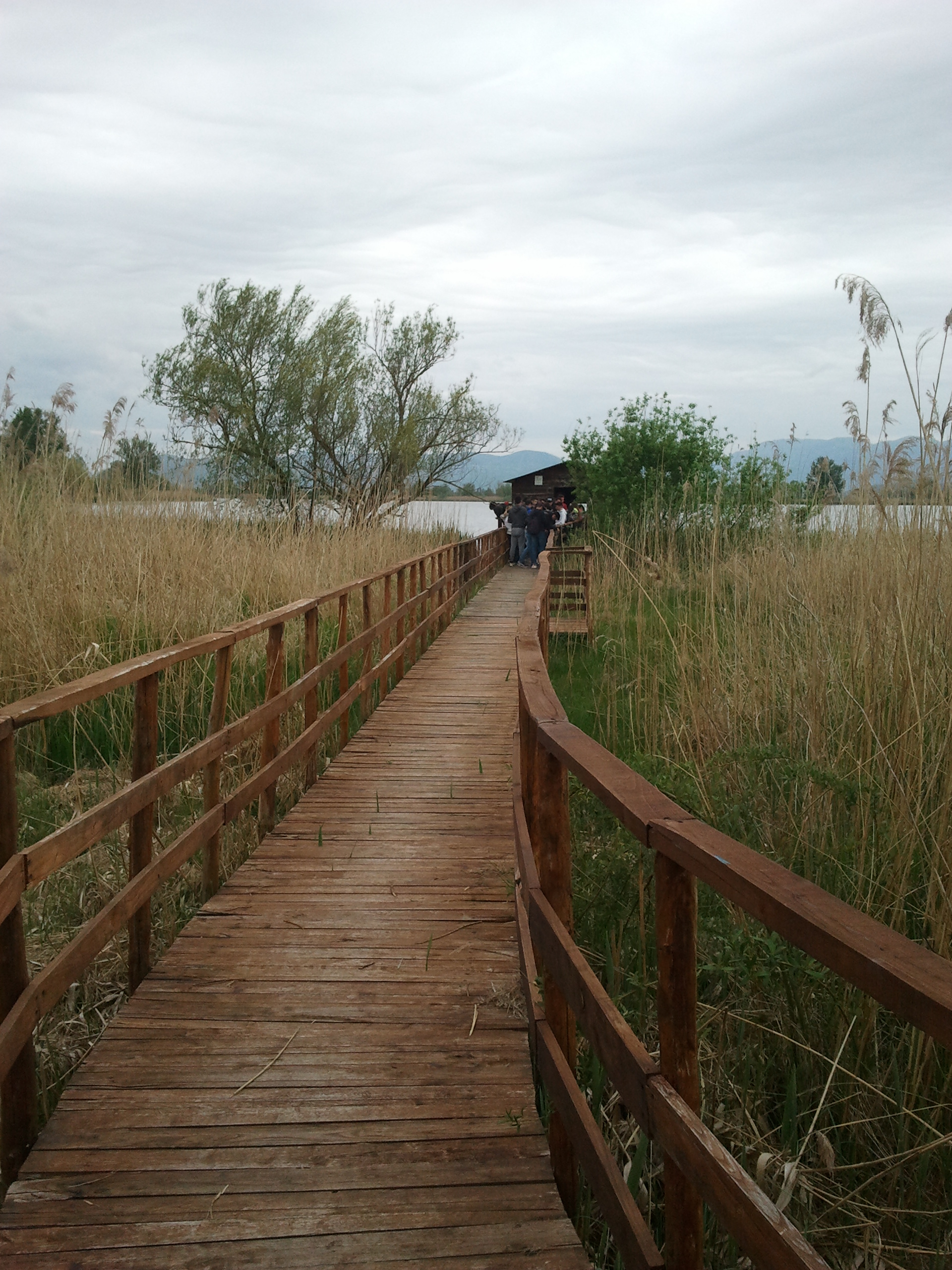 Lago lungo