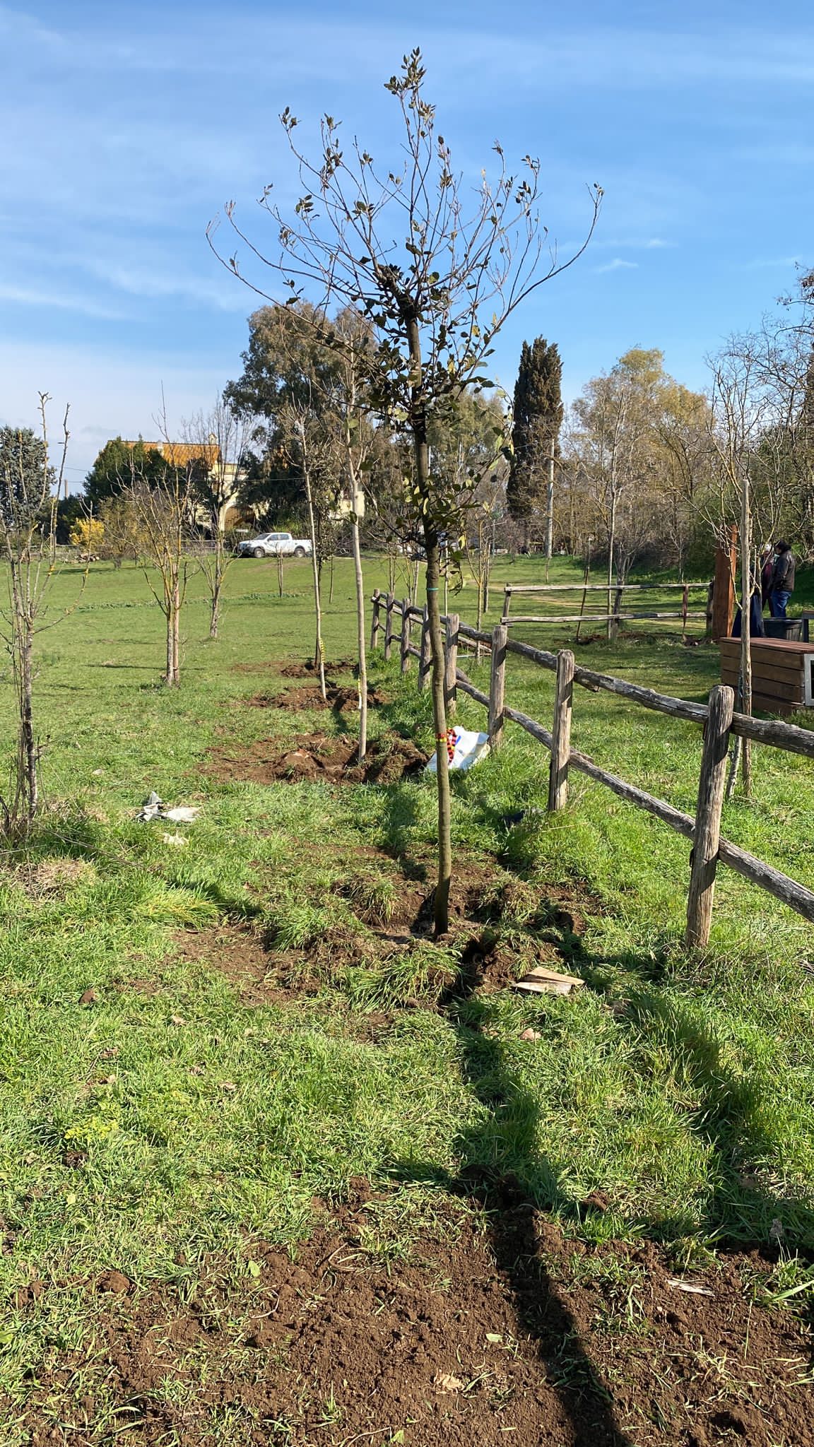Organismi Operanti nel Campo dell'Educazione Ambientale. Pubblicazione dell'Avviso pubblico e del Regolamento che disciplina l'Elenco degli Organismi Operanti nel Campo dell'Educazione Ambientale.