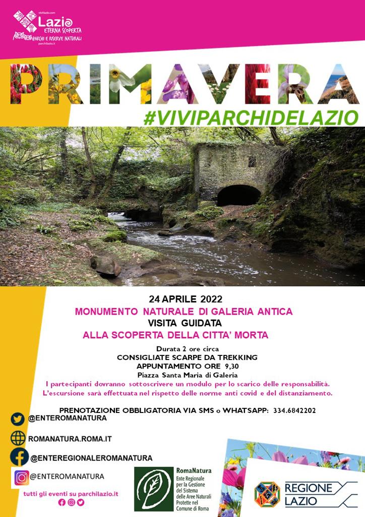 Galeria