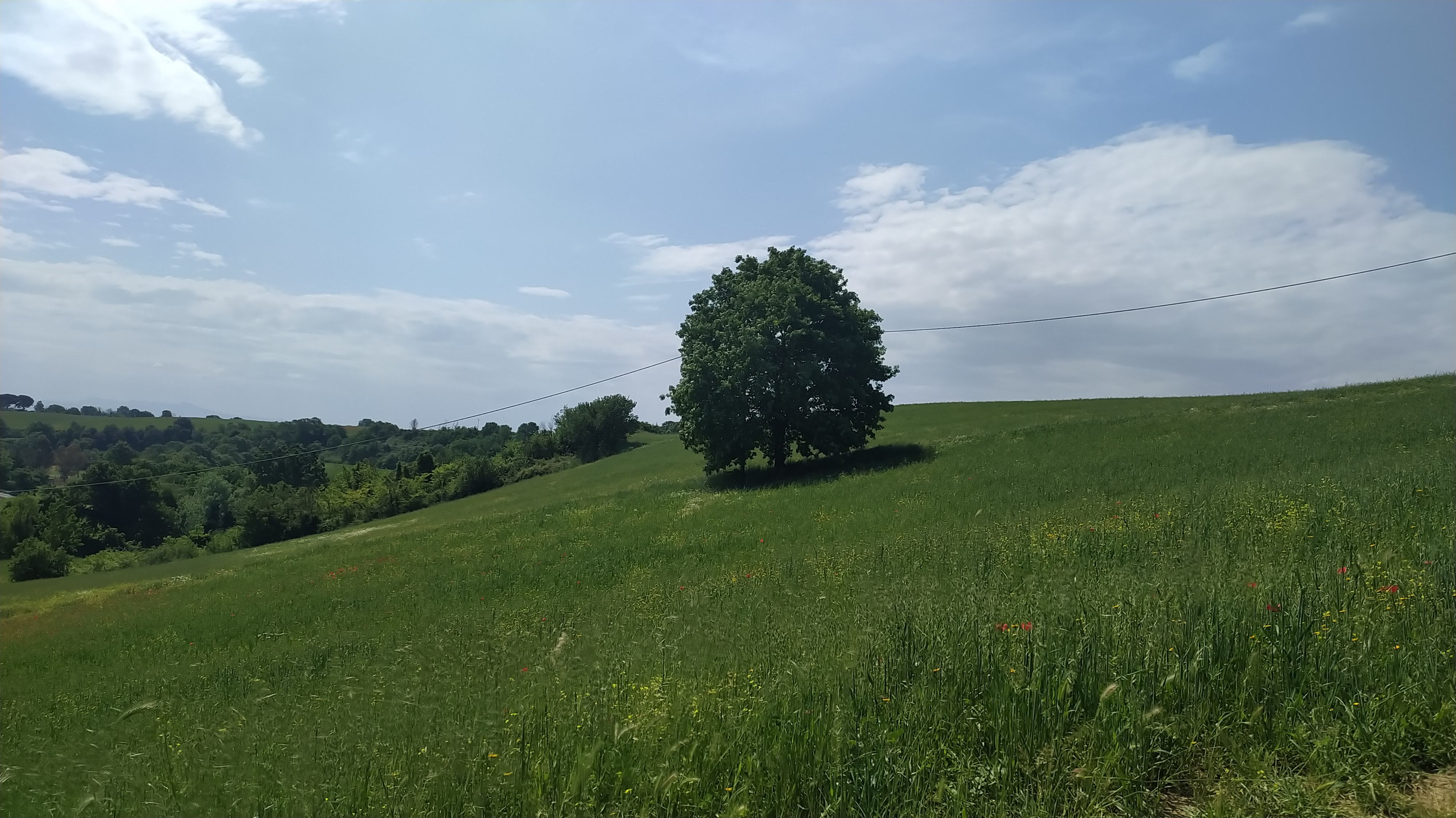 Giorniverdi: gli appuntamenti di maggio