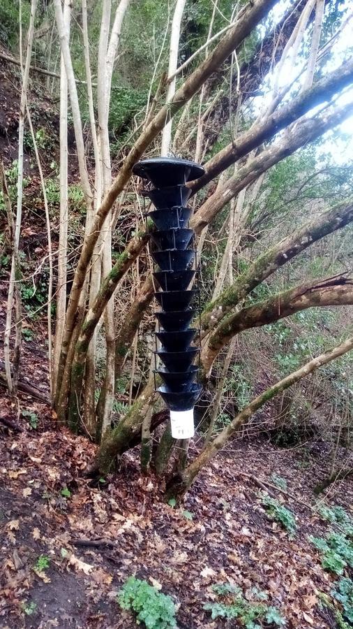 Una delle trappole posizionate nel Parco