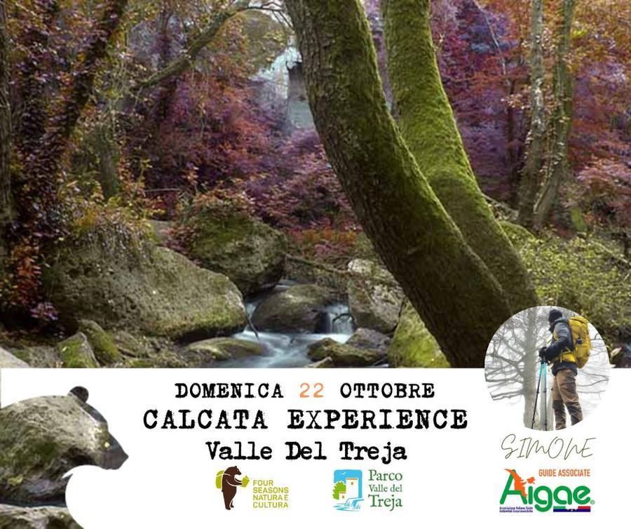 Foto AUT Vita sotto gli Alberi