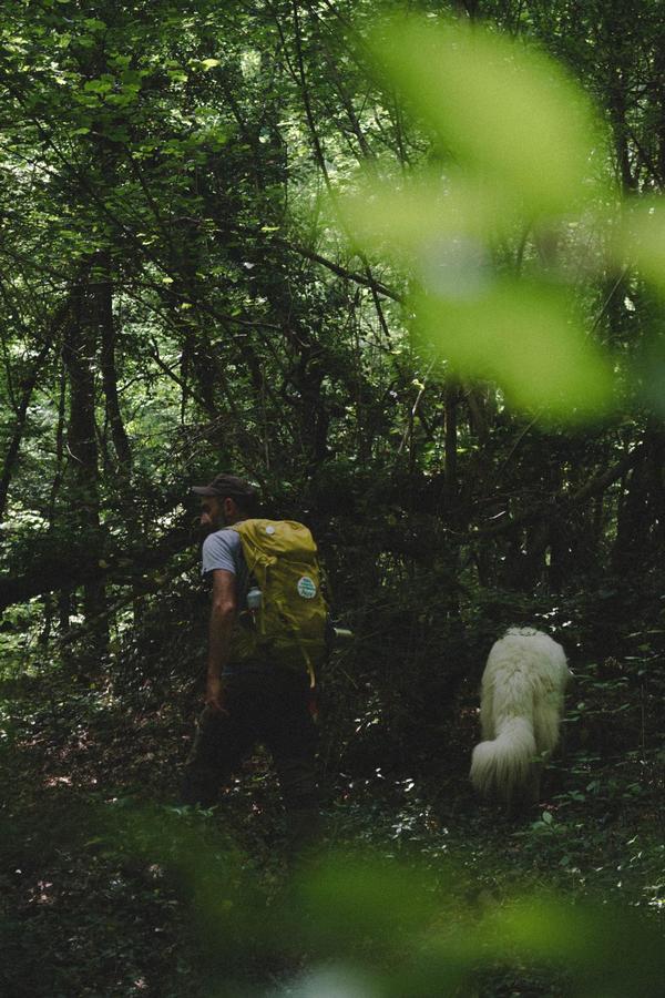 Foto AUT Vita sotto gli alberi