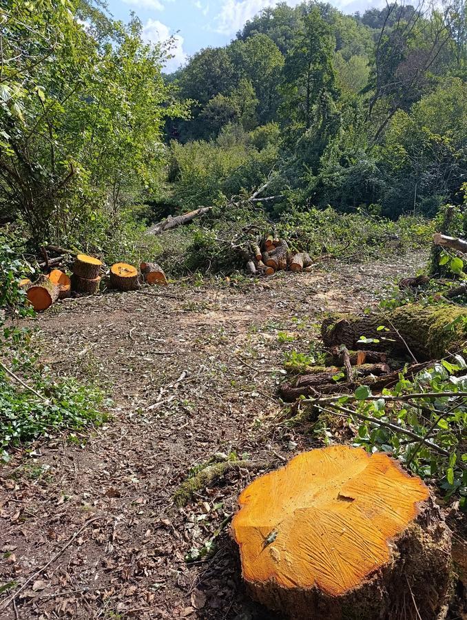 Riaperto il sentiero 019 sotto Calcata