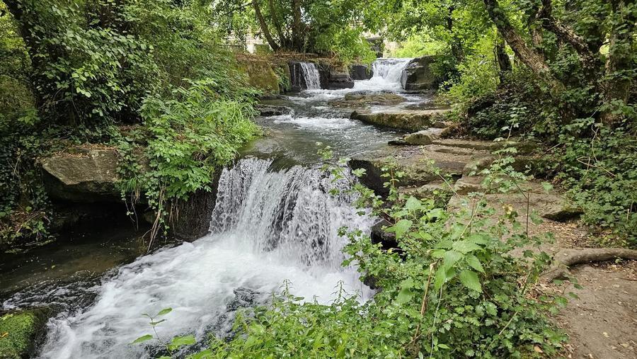 Visita guidata GRATUITA tra Mazzano e Monte Gelato