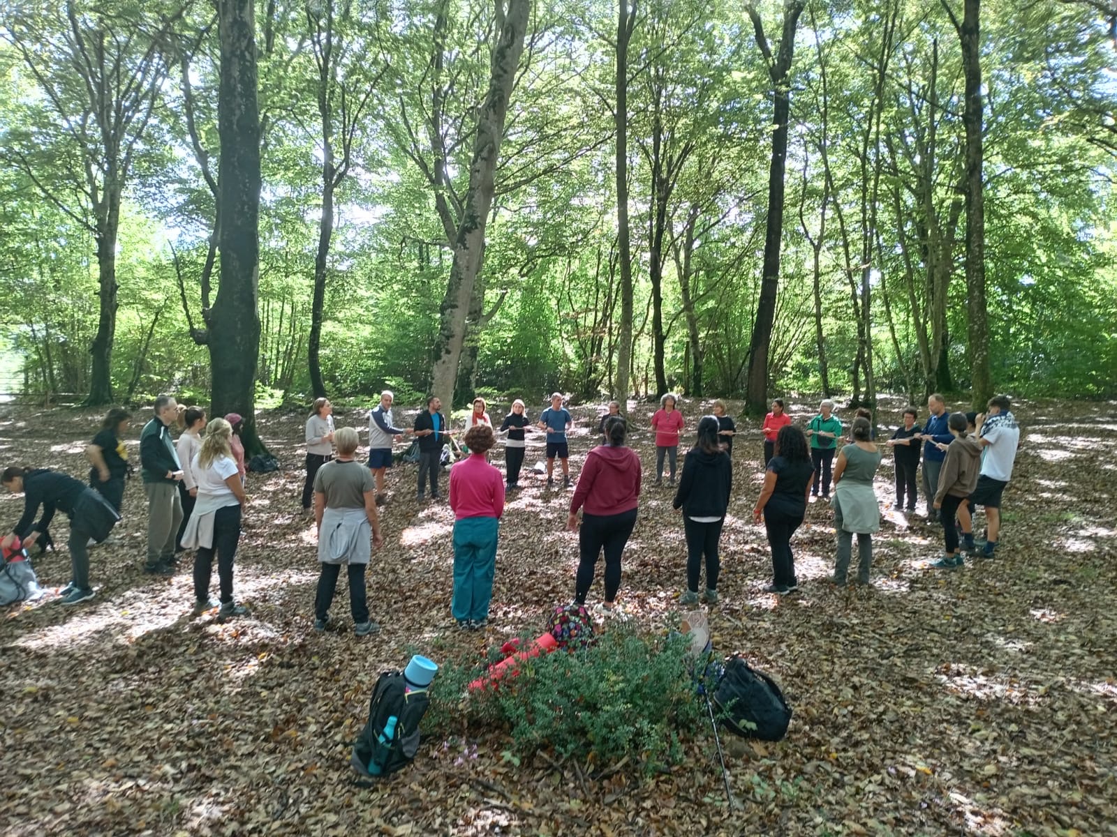 FOREST YOGA D'ESTATE: BAGNO DI FORESTA E HATA YOGA NELLA FAGGETA UNESCO DI ORIOLO ROMANO - TESORI NATURALI 2026