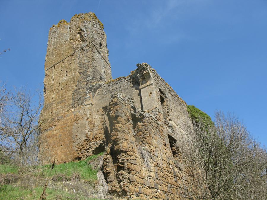 Torre Busson - foto Archivio Parco